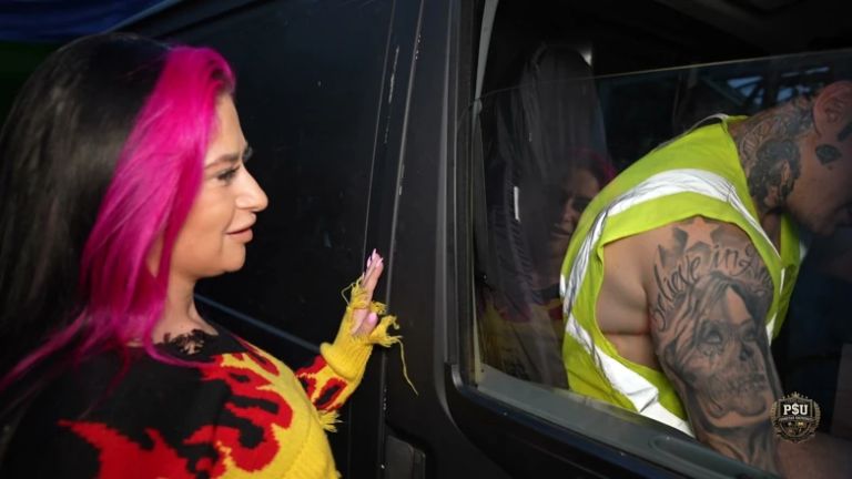 Knocking on the Builder's Van: Hayley Quinn Takes the Irish Bull Across the Front Seats (part 1)